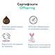 Підгузки-трусики Offspring Forestia, розмір 6 (XXL), 15-23 кг, 24 шт. DP-OI-FAP-XXL24P-FRT фото 9