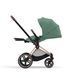 Текстиль для прогулянкового блоку Priam Leaf Green 523000773 фото 4