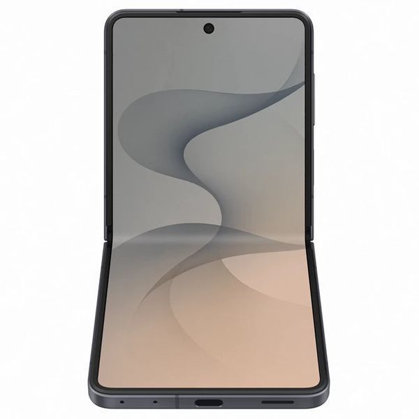 Смартфон Samsung Galaxy Flip 8 12GB/256GB Graphite SM-F776BZKGSEK 48214 фото